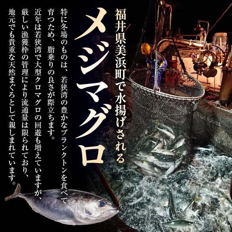 天然本マグロ 丼用カット300g（100g×3）【 鮪 海鮮 】 [m36-a039]