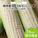 【ふるさと納税】 柏市産 白とうもろこし 15本 先行予約 7月発送 ホワイトショコラ トウモロコシ コーン おいしい 旬 季節 時期 大量 たっぷり BBQ おすすめ