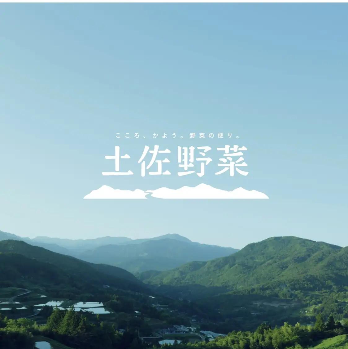 【全6回定期便】【土佐野菜】旬の野菜詰め合わせ10?13品目 高知県土佐市 【株式会社SIMA】 [BQAZ004]