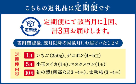 【年3回定期便】熊本の人気フルーツ堪能定期便（1月・5月・10月発送） 熊本県産 果物 毎月お届けギフト