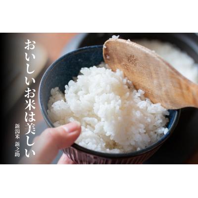 ふるさと納税 阿賀野市 【令和7年産】【 3ヶ月定期便】米杜氏 阿賀野市産 新之助 6kg (2kg×3袋)×3回 |  | 01