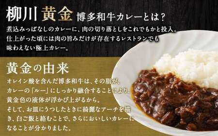 【TVで話題】柳川黄金博多和牛カレー （8箱） カレー レトルト