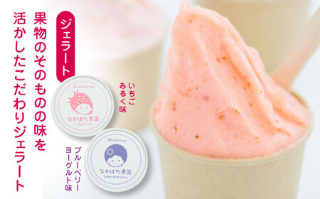 【限定数量】【全6回定期便】なかはた農園満喫セット ( 冷凍イチゴ 500g いちごジャム 1個 ジェラート 2種 × 各1個 ) 熊本 山都町 農園直送 産地直送【なかはた農園】[YBI035]
