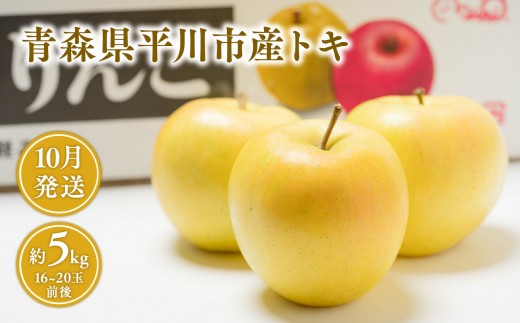 
                  10月 青森県産 トキ 約5kg 【青森県 平川市 JA津軽みらい】10月発送 青森 青森県産 平川 りんご  くだもの  フルーツ 
                