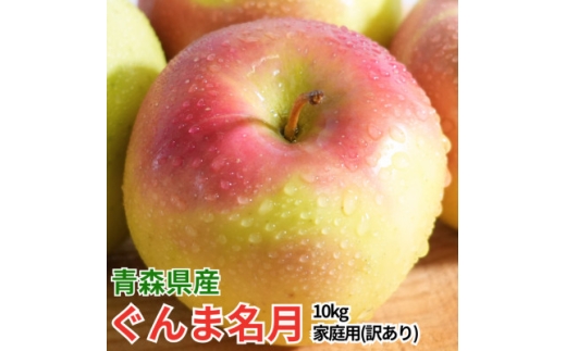 ＜26年11月から順次発送!＞青森県産 りんご ぐんま名月 約10kg  訳あり 家庭用【1735214】