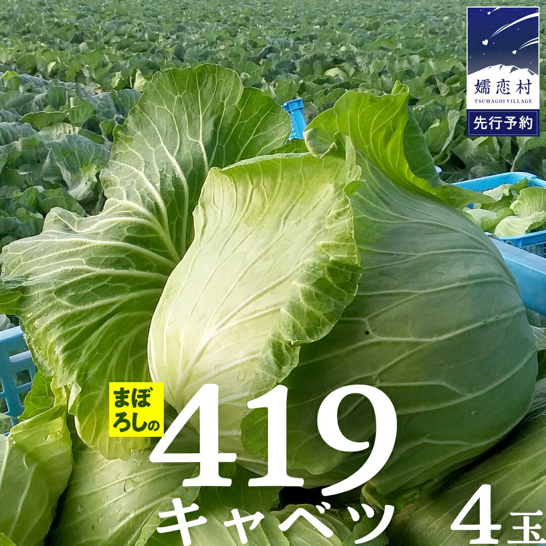 【ふるさと納税】まぼろしの419キャベツ 4玉 きゃべつ 嬬恋村産キャベツ 羽生田売店 幻のキャベツ419 産地直送 期間限定 先行予約 人気 朝採り 通販 お取り寄せ 関東 群馬 出荷時期限定