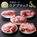 【ふるさと納税】 川南ポーク ウデブロック5Kg 宮崎県産 九州産 川南町産 豚肉 ぶた肉 おうちごはん 送料無料 D05011