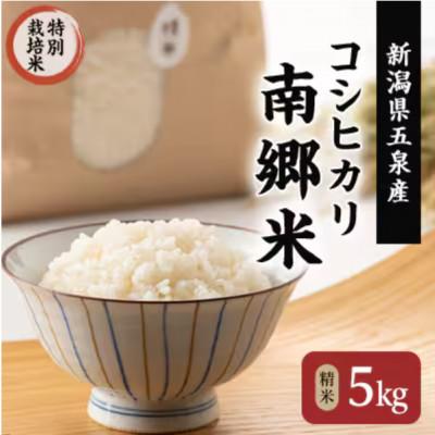ふるさと納税 五泉市 【毎月定期便】特別栽培米コシヒカリ100%「南郷米」精米 5kg(5kg×1袋)全12回
