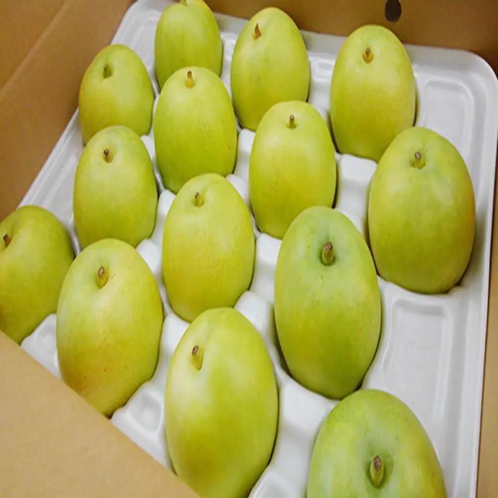 二十世紀梨 有梨の実石田 二十世紀梨 (自家用)5kg 8月下旬以降お届け