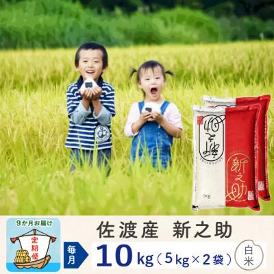 ふるさと納税 佐渡市 【毎月定期便】佐渡島産新之助 白米10kg　全9回