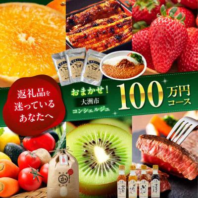 ふるさと納税 大洲市 【大洲市コンシェルジュ】返礼品おまかせ!寄付額100万円コース [AGXX028]
