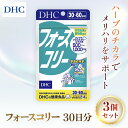 【ふるさと納税】76023_DHCフォースコリー 30日分 3個セット（90日分） ／ 健康 サプリ サプリメント ダイエット 除脂肪体重 メリハリ スタイルキープ ハーブ 植物由来 コレウス・フォルスコリーエキス ビタミンB1 B2 B6 DHC ディーエイチシー 千葉県 茂原市 MBB031