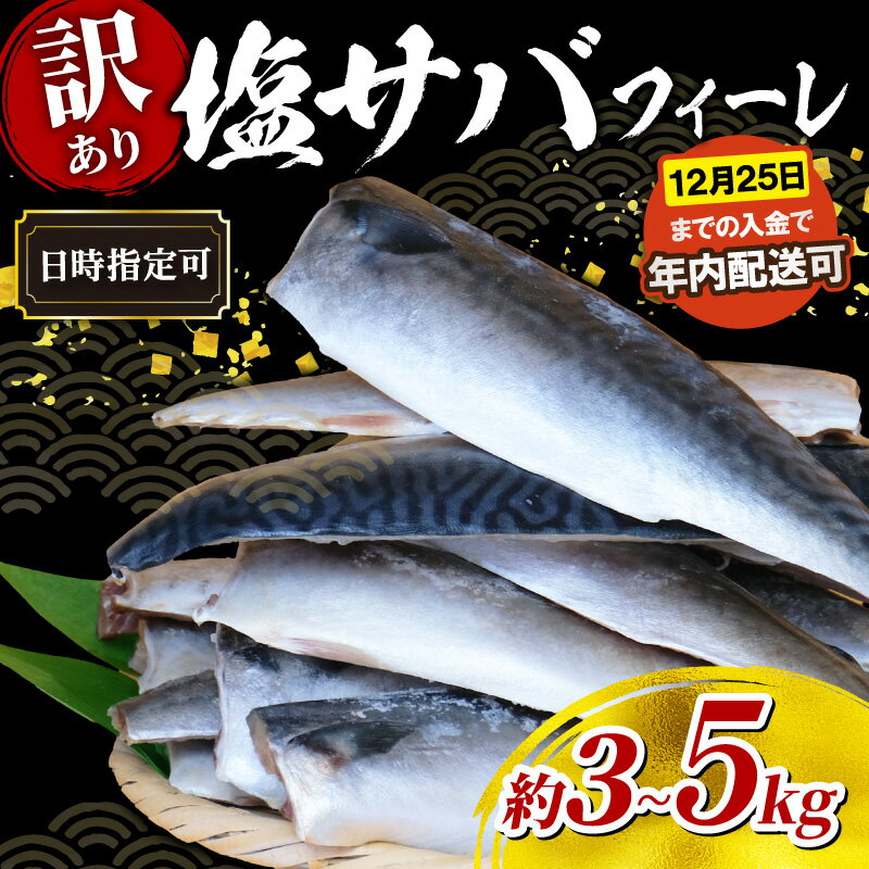 【ふるさと納税】 高評価 ★4.63 国産 塩 サバ フィーレ 【 選べる 3kg / 5kg 】 （ ふるさと納税 さば 鯖 訳あり ふるさと納税 さば 鯖 ふるさと納税 鯖 フィーレ 国産 ふるさと納税 訳あり さば 鯖 不揃い 魚 切身 海鮮 人気 ランキング 千葉県 旭市 ）