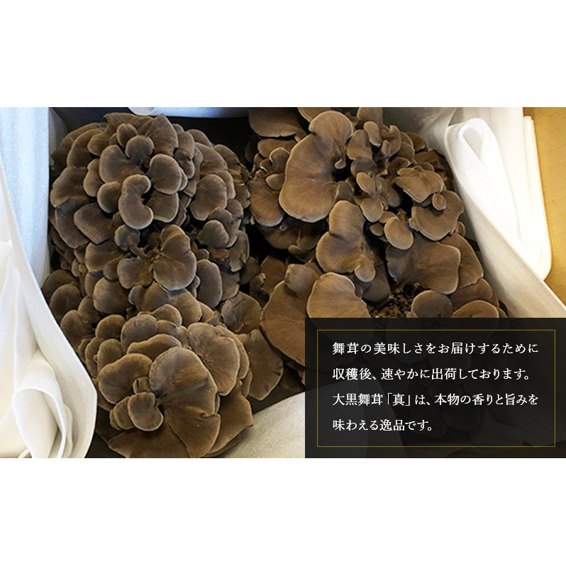 黒舞茸「真」 1kg[52210652]_イメージ5