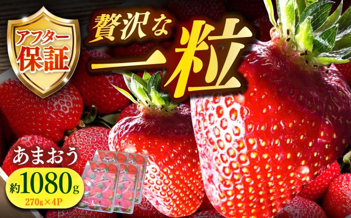 【予約受付】【2月1日より順次発送】農家直送 朝採り新鮮いちご【博多あまおう】約270g×4《築上町》【株式会社H&Futures】[ABDG004]