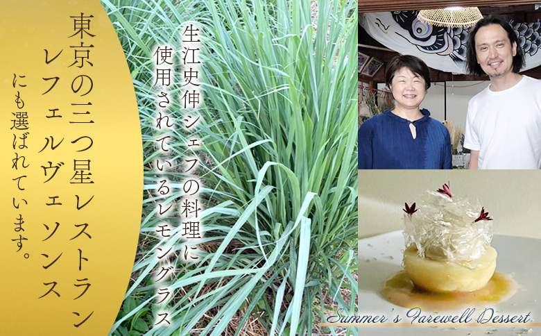 ＜ハーブティー ティーバッグ 1袋3個入（レモグラミント）＞国産 ドライ 乾燥させたハーブ 爽やか ほっとひと息 ハーブティードリンク リラックス 休憩 ノンカフェイン 持ち運びに便利 ぷちギフト 後