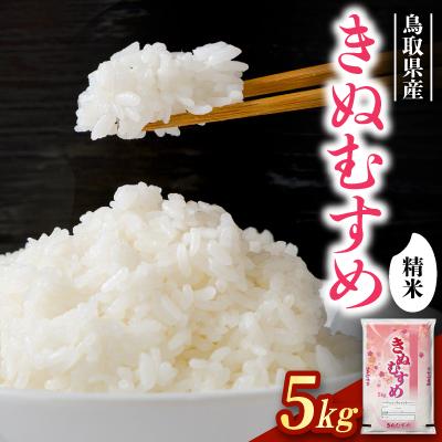 ふるさと納税 智頭町 【食味鑑定士厳選】鳥取県産 きぬむすめ5kg(5kg×1袋) 精米