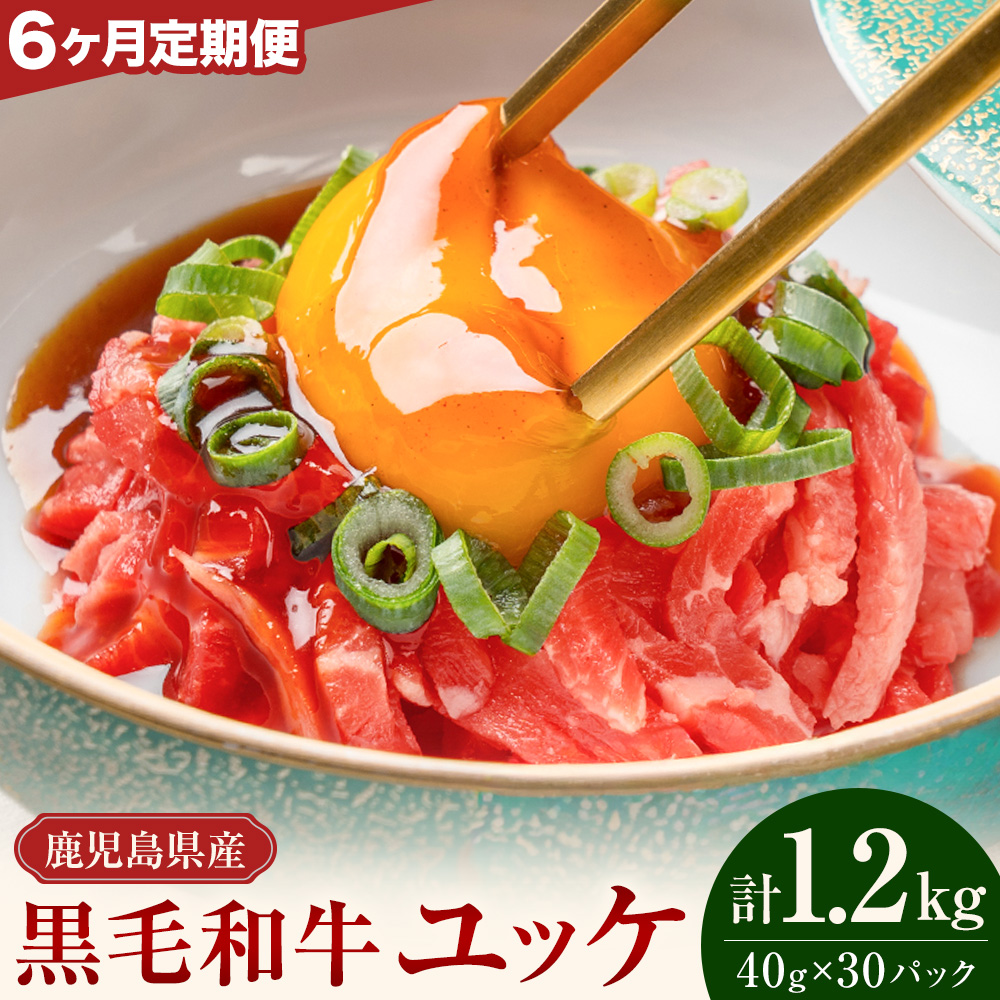 【連続6ヶ月定期便】鹿児島県産黒毛和牛ユッケ 計1.2kg 40g×5パック×6回 株式会社カミチク《お申し込みの翌月から出荷》鹿児島県 さつま町 鹿児島県産 黒毛和牛 ユッケ 生食用 小分け タレ付き 定期便---stm-kmc-7-mo6---