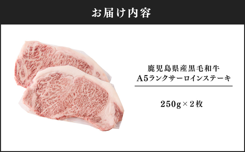 1397-1 鹿児島県産黒毛和牛A5ランクサーロインステーキ 500g（250g×2枚）　KN041-001-01