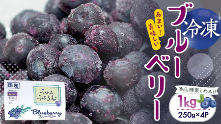 茨城県産 冷凍 ブルーベリー 合計 1kg (250g×4袋)【2025年7月中旬から発送開始】 多品種 果実 果物 くだもの フルーツ おやつ ブルーベリー ベリー ジャム 小分け [DZ018sa]