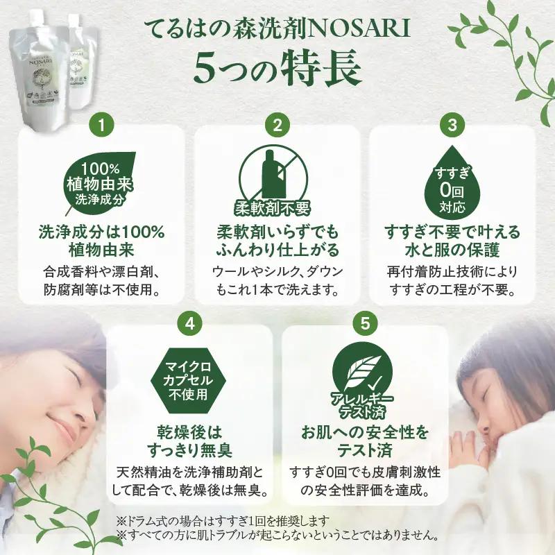 てるはの森洗剤NOSARI 3kg ボックス入り オリジナルガラスボトル 洗剤 洗濯洗剤 日用品 南九州産 よもぎ蒸留水 柑橘精油 綾の名水 合成香料不使用 マイクロカプセル不使用 おすすめ 宮崎県 