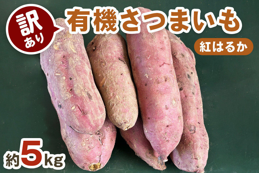 
[訳あり] 有機さつまいも (紅はるか) 5kg【黒澤農園】｜サツマイモ さつま芋 JAS 野菜 農家直送 焼き芋 おかず 天ぷら スイーツ 国産 甘楽町産 [0172]
