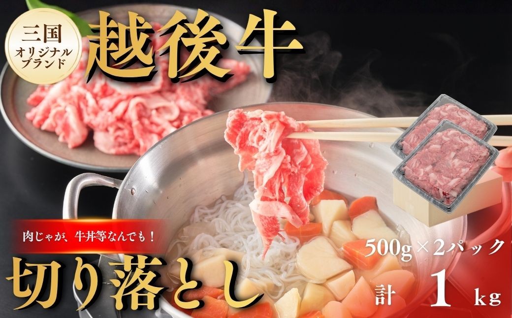 
                  切り落とし 新潟 越後牛 切り落とし 1kg (500g×2パック) 三国 | 小分け 冷凍 ブランド牛 焼肉 越後牛 国産牛 新潟県産 切り落とし 和牛 牛肉 モモ バラ ロース 肩 きりおとし こま切れ 小間切れ 牛 ぎゅうにく ギュウニク ビーフ beef 新潟県 小千谷市【0043-0008】
                