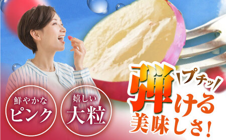 【2025年先行予約】【数量限定】【ご自宅用】リピーターが続出中！クイーンニーナ 1房（約450g）簡易包装 訳あり 島根県雲南市/ギアファーム[AIAB006]