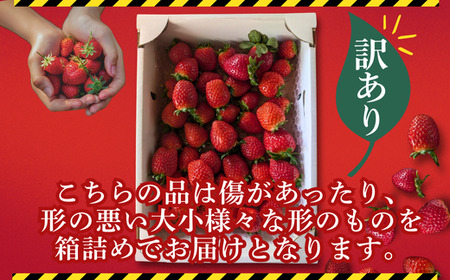 【訳あり】いちご『あまりん』サイズミックス 【潰れが気にならない方限定】　【苺】 イチゴ おおきい スイーツ あかい 果物 ふるさと納税 いちご うまい フルーツ 期間限定 人気いちご 甘い いちご 