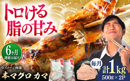 【全6回定期便】対馬産 本マグロ カマ 1kg ≪対馬市≫【桐谷商店】 トロの華 対馬 新鮮 マグロ かま 鮪[WAQ097]