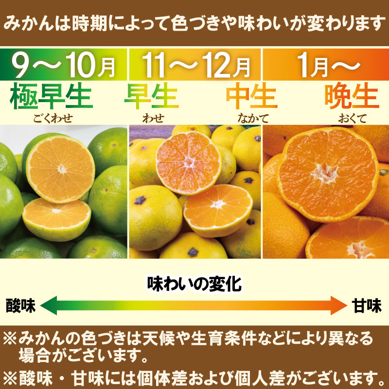 【10月上旬から順次発送】 訳あり 愛媛みかん 約1kg | えひめみかん 愛媛のみかん 温州みかん みかん 温州ミカン 柑橘 果物 蜜柑 えひめのみかん くだもの フルーツ みかん ミカン mika