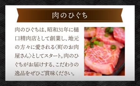 ＼贅沢な味わいをご家庭で／ 【飛騨牛】切り落とし 500g (250g×2)【肉のひぐち】 国産 ブランド牛 和牛 BBQ キャンプ  [TDC009]
