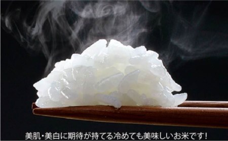 【6回定期便】令和7年産熟成すいしゃ米佐賀県産3銘柄米セット15kg NAO023 