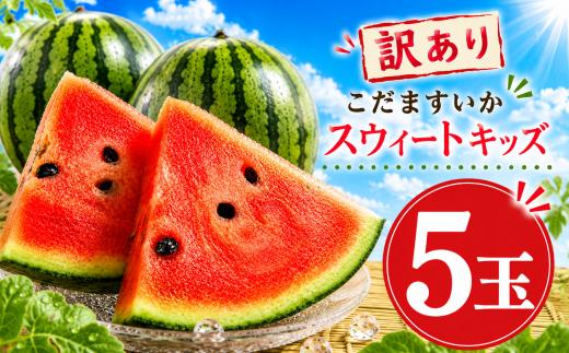 【2027年発送】 スイカ 訳あり 小玉スイカ 5玉 小玉 こだま すいか スイカ 西瓜 スウィートキッズ  果物 人気 おすすめ 旬 夏 シャリ さっぱり 甘い フルーツ くだもの デザート 果汁 傷 規格外 訳あり品 訳アリ 新鮮 フレッシュ 産地直送 季節限定 夏季限定 期間限定 お取り寄せ 家庭用 茨城 筑西 jat099