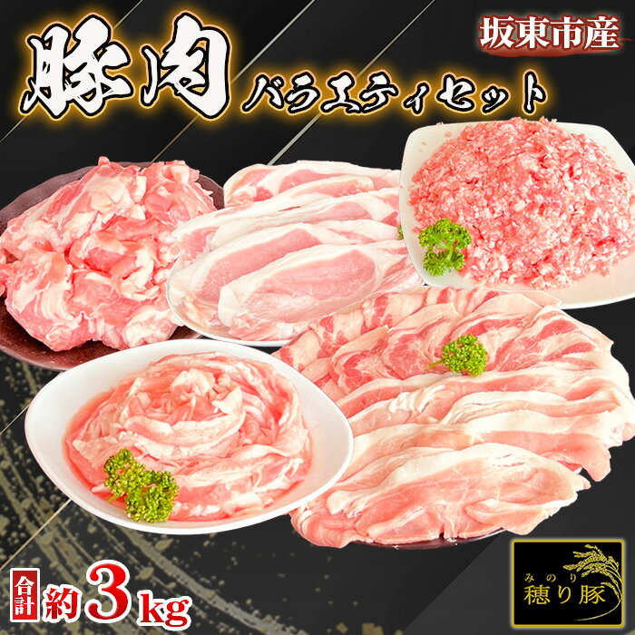 【ふるさと納税】No.841 坂東市産の豚肉バラエティセット　約3kg ／ 背ロース 肩ロース バラ もも 小間切れ ひき肉 うま味 ぶた 送料無料 茨城県