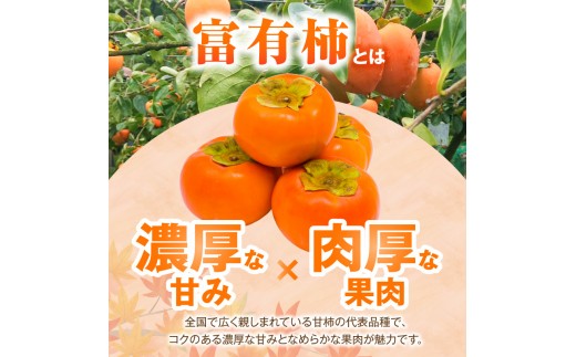 【先行受付】 訳あり 富有柿 5kg こねり柿園自慢の富有柿 KNR0808