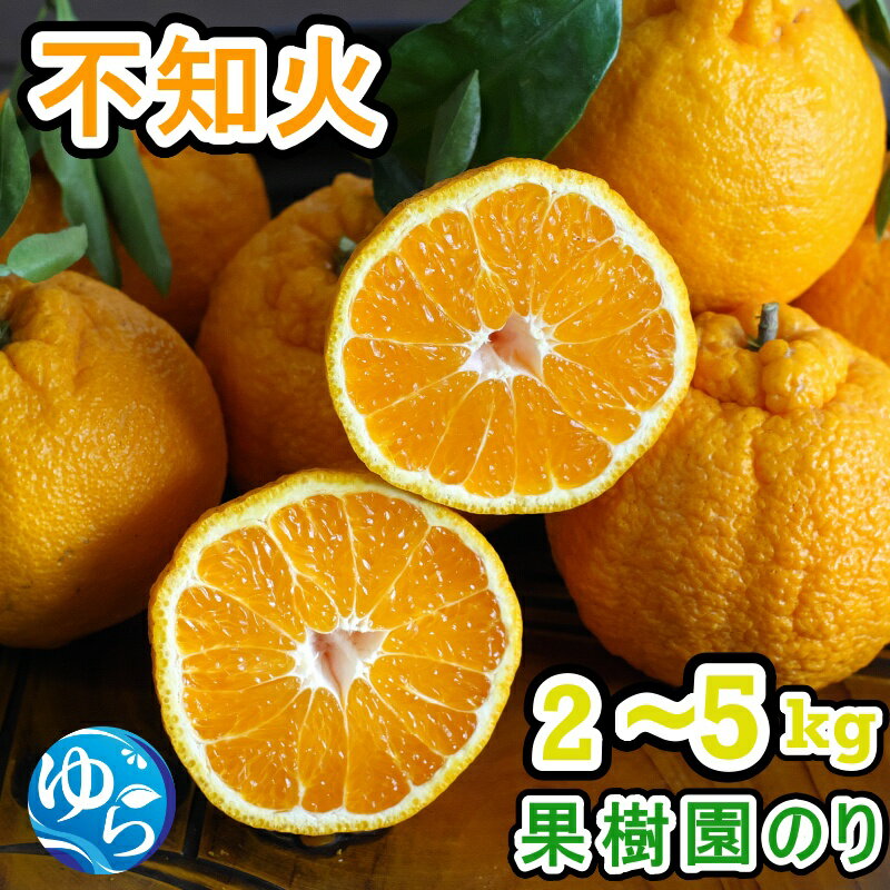 【ふるさと納税】 不知火 秀品 / 高級 甘い みかん 和歌山 由良 リピート 2kg 5kg サイズおまかせ ※2026年2月中旬頃から3月下旬頃に順次発送予定