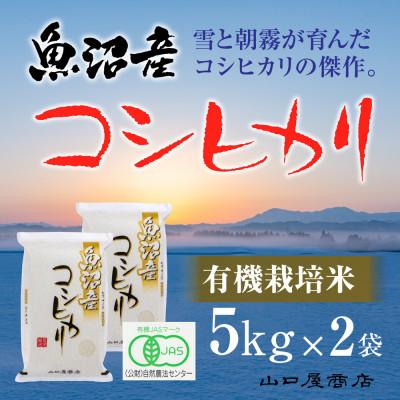 ふるさと納税 十日町市 【令和7年産】【厳選☆十日町育ち】“有機栽培米” 魚沼産コシヒカリ　5kg×2袋