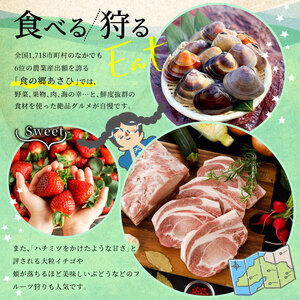 さば 味噌煮 10個 【 さば 】