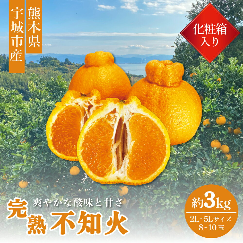 【ふるさと納税】【先行予約】 完熟 不知火 化粧箱入り 約3kg 2L〜5Lサイズ 8~10玉 高橋果樹園 【2026年2月上旬から3月下旬発送予定】しらぬい 柑橘 熊本県産 九州産 国産