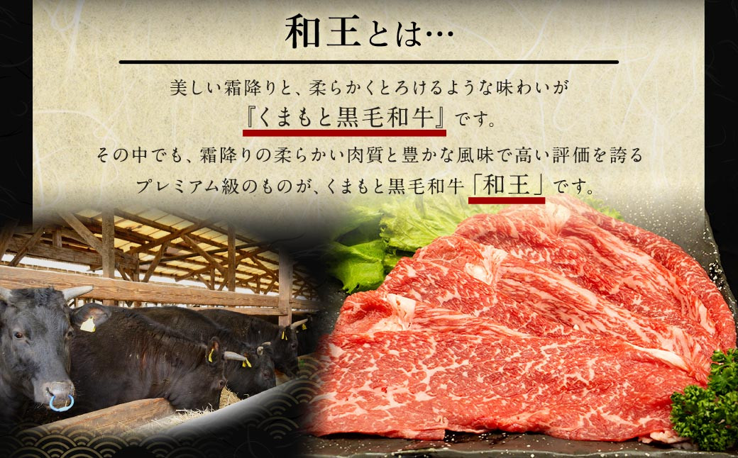 【3ヶ月定期便】 熊本県産 A5等級 黒毛和牛 和王 食べ比べ 合計約1750g 牛肉 セット