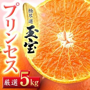≪新品種!!≫【甘平×まどんな】愛果48号(紅プリンセスと同品種)5kg【H64-78】【1621823】