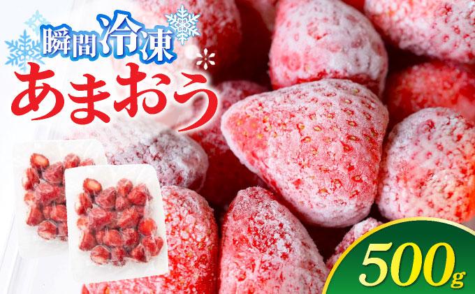 福岡県産 冷凍あまおう500g(250g×2個) 500g