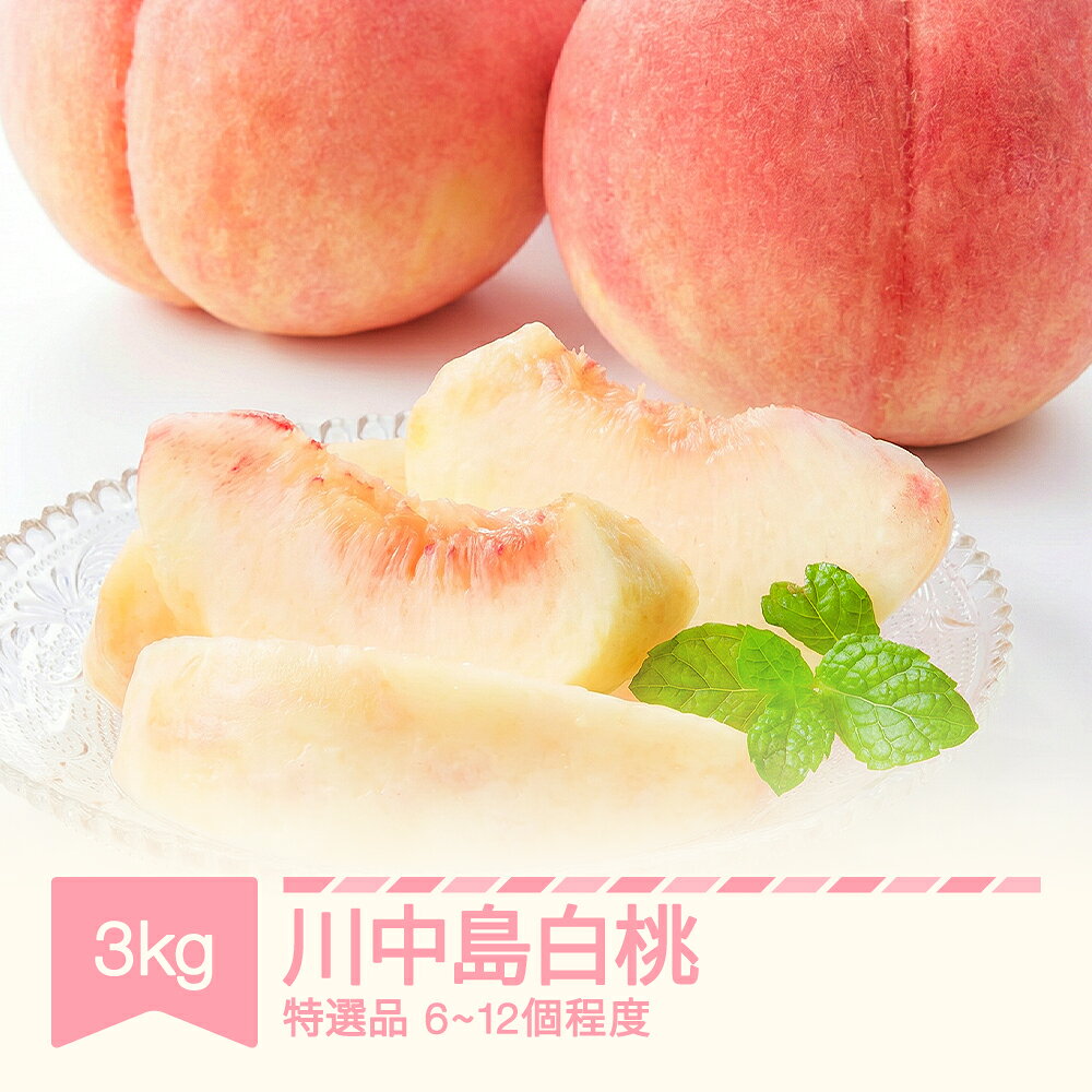 【ふるさと納税】 もも 川中島白桃 特選品 約3kg 令和8年産 2026年産 山形産 果物 送料無料 ※沖縄・離島への配送不可 tf-moknx3000