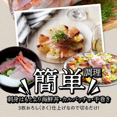 ふるさと納税 天草市 天草わくわく旬魚刺身づくし(さく)3〜4人前_S059-013A |  | 01
