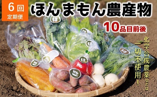 
            【6ヶ月定期便】化学合成農薬等不使用で栽培！安心安全な「ほんまもん野菜」を10品目前後お届け♪
          