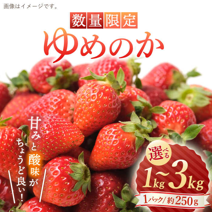 【ふるさと納税】【1月より順次発送】【数量限定】 ゆめのか いちご 約1kg~約3kg ＜川原農園＞ [CDR010] いちご イチゴ 苺 果物 フルーツ 甘い 1kg 2kg ご家庭用