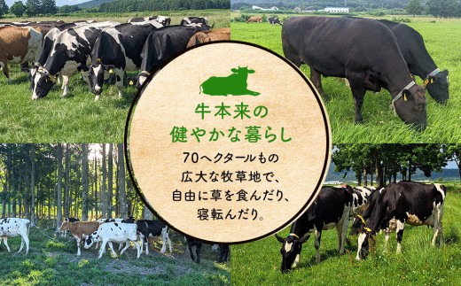 放牧牛の焼肉カルビ　200ｇ【草丸Beef1号】
