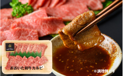 バラエティー焼肉セット(1852R)