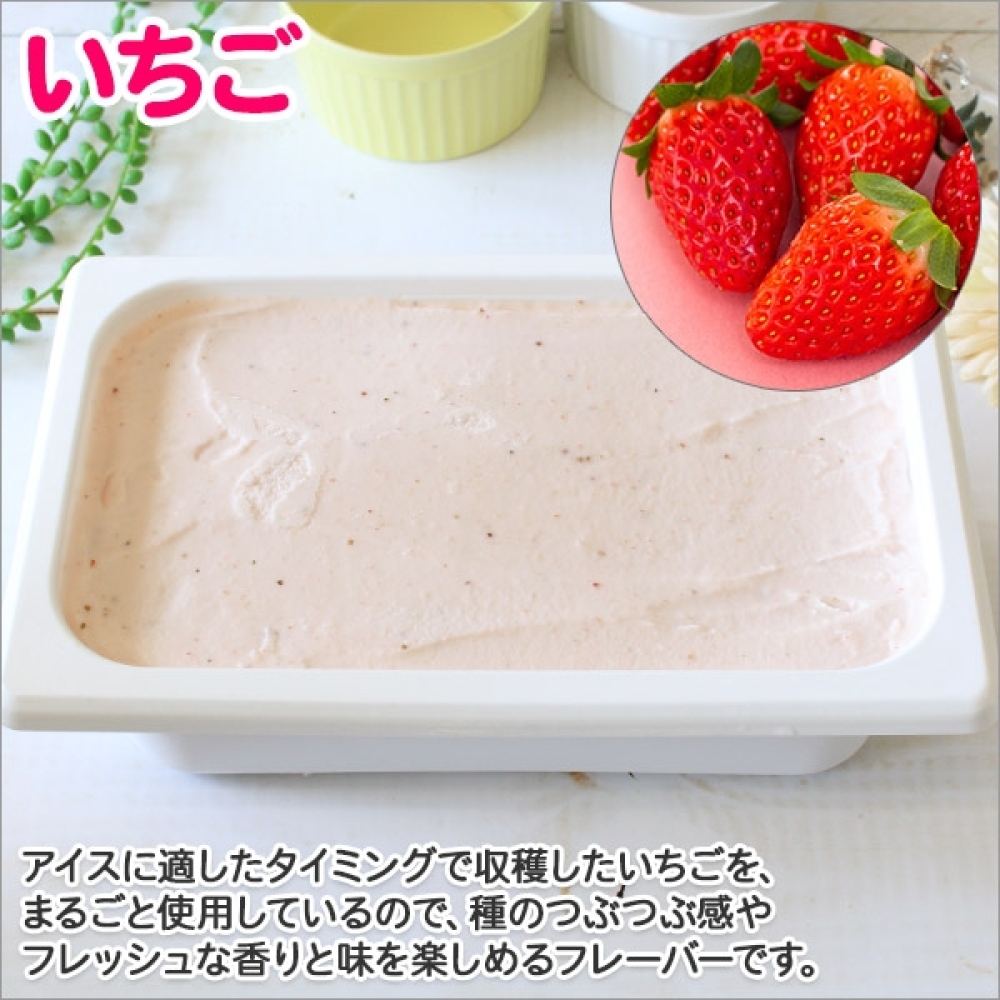 606.アイスクリーム いちご ジェラート イチゴ 業務用 2リットル 2L 苺 アイス 大容量  手作り 北海道 弟子屈町_イメージ2